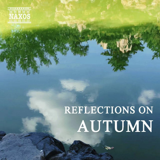 提高配音小蛙导航
